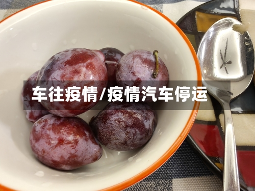 车往疫情/疫情汽车停运-第2张图片