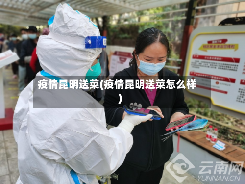 疫情昆明送菜(疫情昆明送菜怎么样)-第2张图片