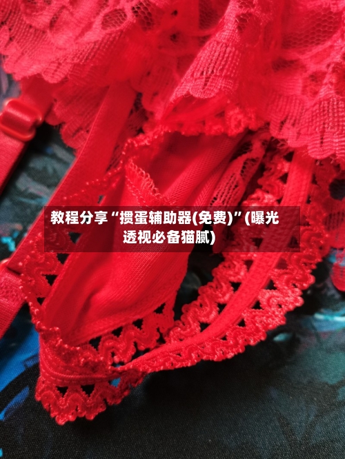 教程分享“掼蛋辅助器(免费)”(曝光透视必备猫腻)-第2张图片