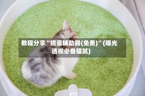 教程分享“掼蛋辅助器(免费)	”(曝光透视必备猫腻)-第1张图片