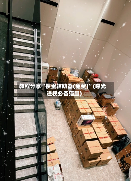 教程分享“掼蛋辅助器(免费)”(曝光透视必备猫腻)-第3张图片