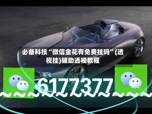 必备科技“微信金花有免费挂吗	”(透视挂)辅助透视教程-第2张图片