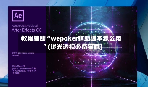 教程辅助“wepoker辅助脚本怎么用”(曝光透视必备猫腻)-第2张图片