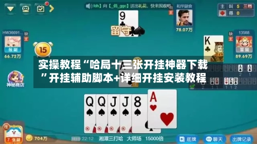 实操教程“哈局十三张开挂神器下载”开挂辅助脚本+详细开挂安装教程-第2张图片