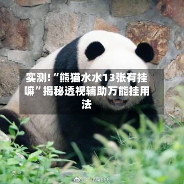 实测!“熊猫水水13张有挂嘛	”揭秘透视辅助万能挂用法-第1张图片