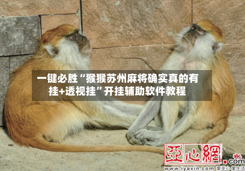 一键必胜“猴猴苏州麻将确实真的有挂+透视挂”开挂辅助软件教程-第1张图片