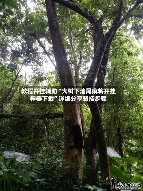 教程开挂辅助“大树下汕尾麻将开挂神器下载	”详细分享装挂步骤-第1张图片