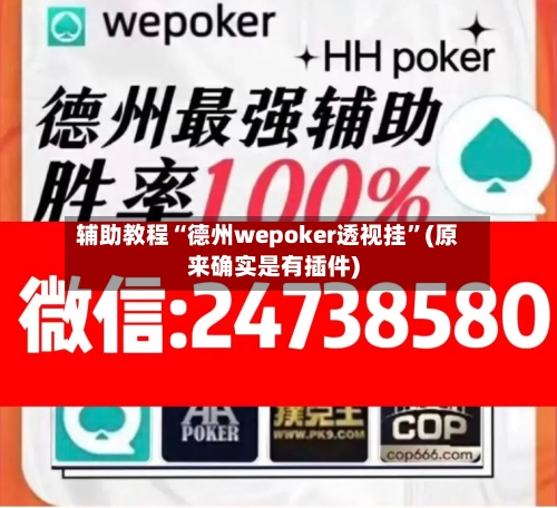 辅助教程“德州wepoker透视挂	”(原来确实是有插件)-第1张图片