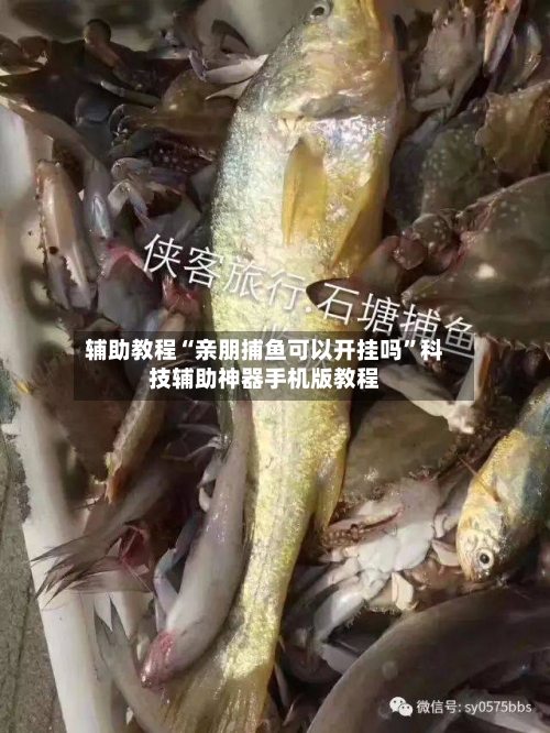 辅助教程“亲朋捕鱼可以开挂吗”科技辅助神器手机版教程-第3张图片