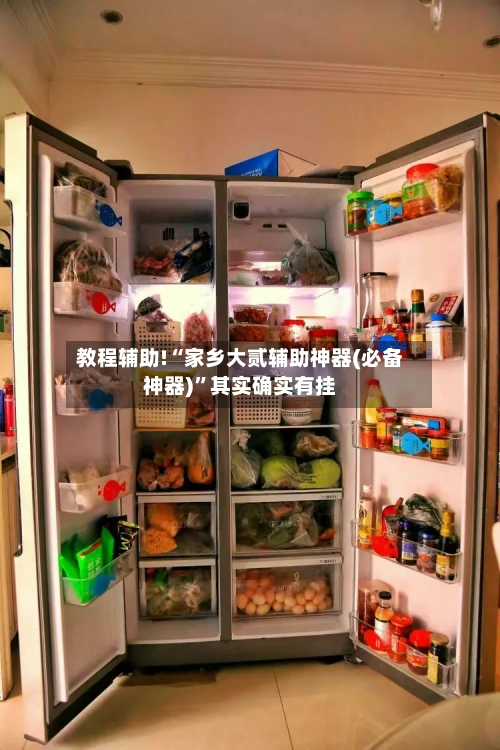 教程辅助!“家乡大贰辅助神器(必备神器)	”其实确实有挂-第2张图片