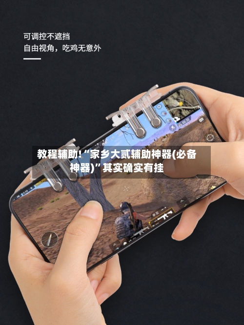 教程辅助!“家乡大贰辅助神器(必备神器)”其实确实有挂-第3张图片