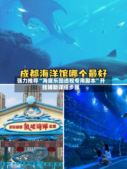 强力推荐“海底乐园透视专用脚本”开挂辅助详细步骤-第1张图片