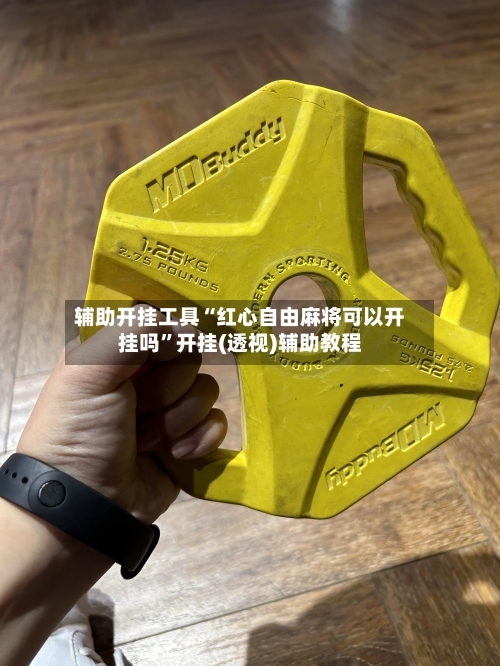 辅助开挂工具“红心自由麻将可以开挂吗”开挂(透视)辅助教程-第3张图片