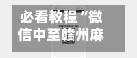 必看教程“微信中至赣州麻将开挂器”科技辅助神器手机版教程-第1张图片