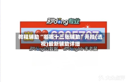 教程辅助“嘟嘟十三张辅助”开挂(透视)最新辅助详细-第1张图片