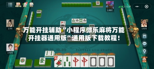 万能开挂辅助“小程序微乐麻将万能开挂器通用版”通用版下载教程！-第2张图片
