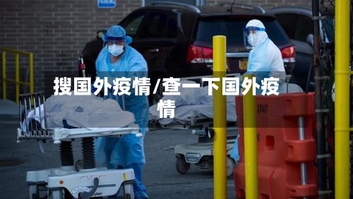 搜国外疫情/查一下国外疫情-第2张图片