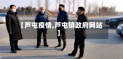 【芦屯疫情,芦屯镇政府网站】-第2张图片