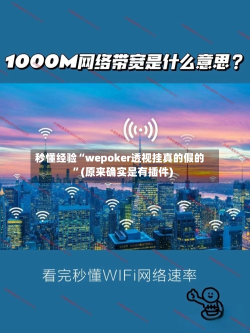 秒懂经验“wepoker透视挂真的假的	”(原来确实是有插件)-第1张图片