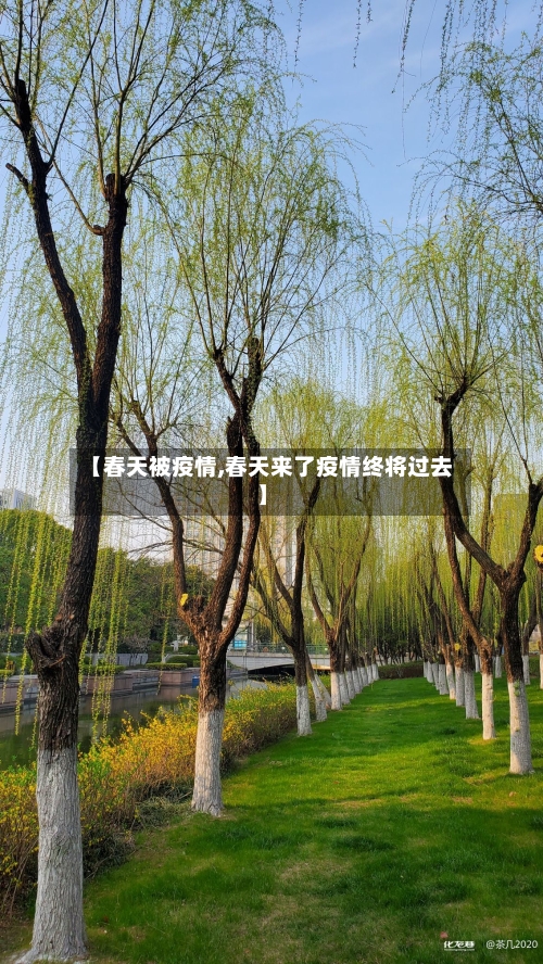 【春天被疫情,春天来了疫情终将过去】-第3张图片