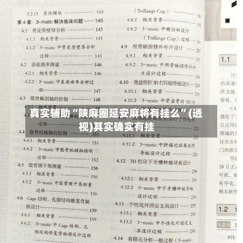 真实辅助“陕麻圈延安麻将有挂么”(透视)其实确实有挂-第3张图片