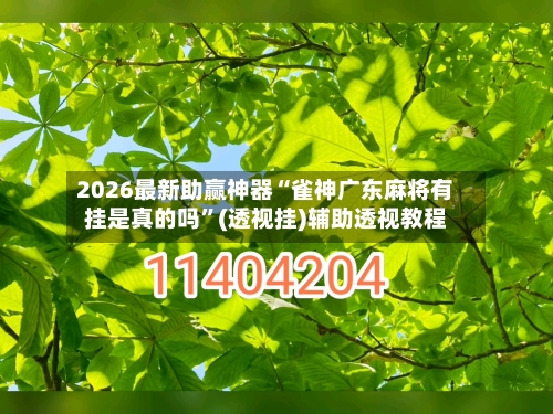 2026最新助赢神器“雀神广东麻将有挂是真的吗”(透视挂)辅助透视教程-第2张图片