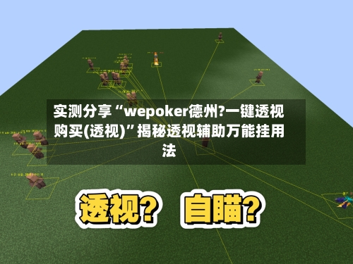 实测分享“wepoker德州?一键透视购买(透视)”揭秘透视辅助万能挂用法-第2张图片