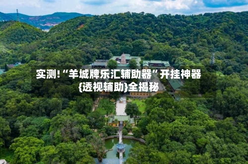 实测!“羊城牌乐汇辅助器”开挂神器{透视辅助}全揭秘-第3张图片