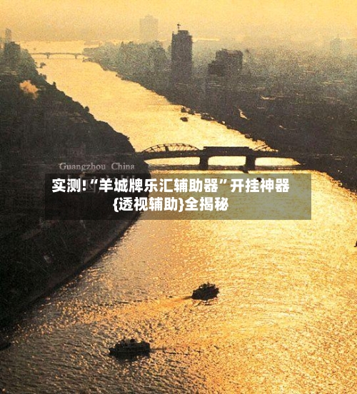 实测!“羊城牌乐汇辅助器	”开挂神器{透视辅助}全揭秘-第1张图片