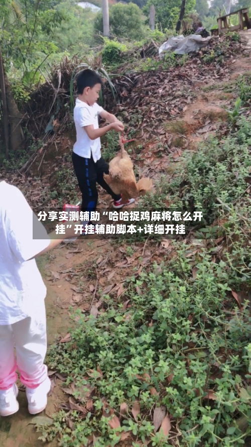 分享实测辅助“哈哈捉鸡麻将怎么开挂”开挂辅助脚本+详细开挂-第1张图片