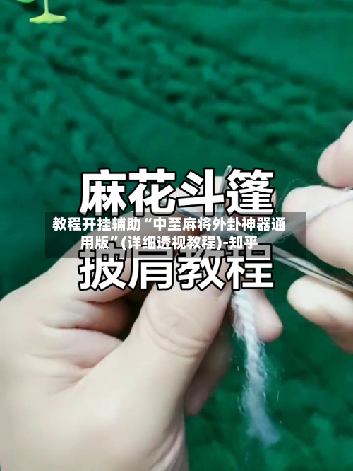 教程开挂辅助“中至麻将外卦神器通用版”(详细透视教程)-知乎-第2张图片