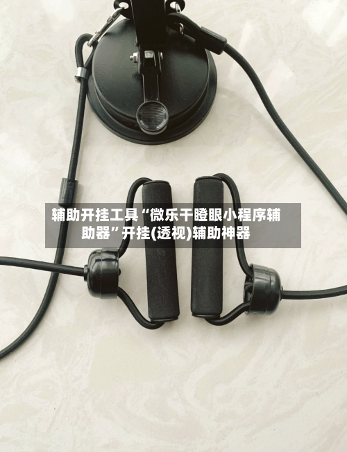 辅助开挂工具“微乐干瞪眼小程序辅助器	”开挂(透视)辅助神器-第2张图片