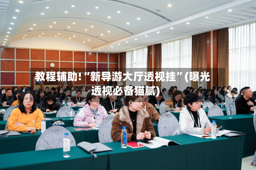 教程辅助!“新导游大厅透视挂”(曝光透视必备猫腻)-第2张图片