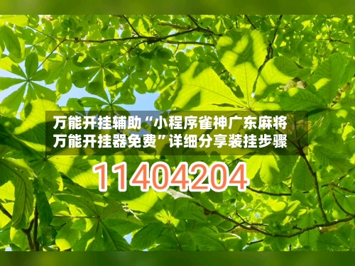 万能开挂辅助“小程序雀神广东麻将万能开挂器免费”详细分享装挂步骤-第2张图片