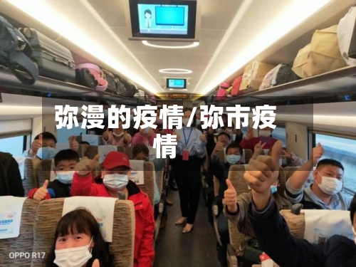 弥漫的疫情/弥市疫情-第2张图片