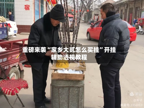 重磅来袭“家乡大贰怎么买挂	”开挂辅助透视教程-第2张图片