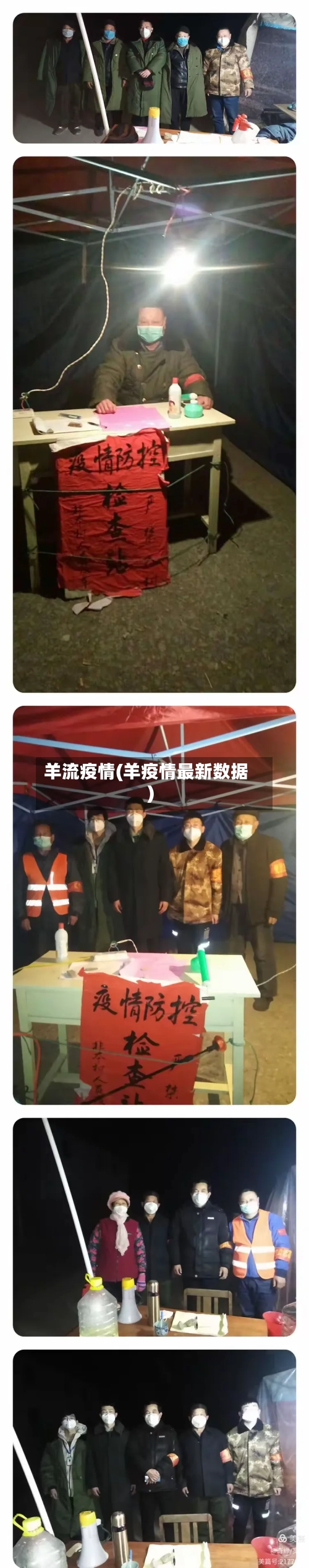 羊流疫情(羊疫情最新数据)-第1张图片