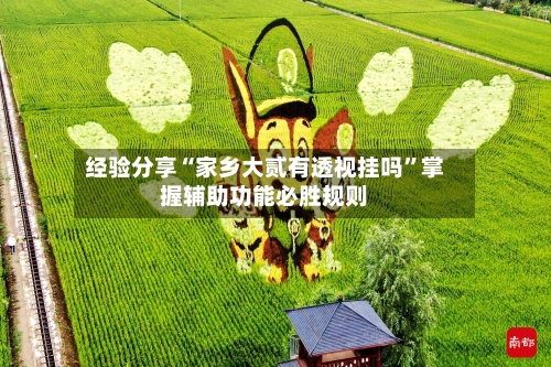 经验分享“家乡大贰有透视挂吗”掌握辅助功能必胜规则-第1张图片