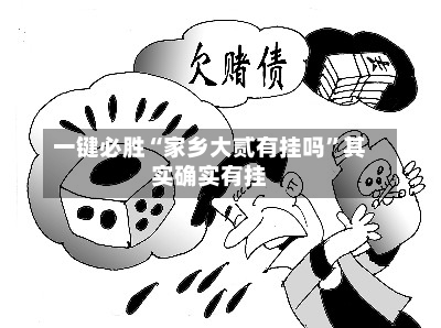 一键必胜“家乡大贰有挂吗”其实确实有挂-第2张图片