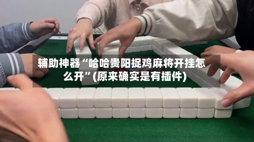 辅助神器“哈哈贵阳捉鸡麻将开挂怎么开”(原来确实是有插件)-第2张图片