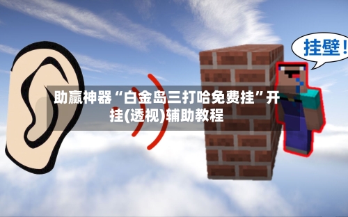 助赢神器“白金岛三打哈免费挂”开挂(透视)辅助教程-第1张图片