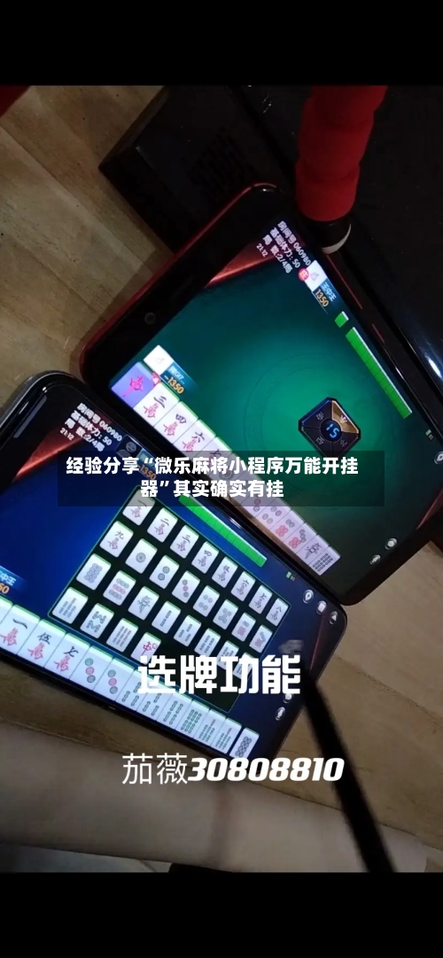 经验分享“微乐麻将小程序万能开挂器”其实确实有挂-第2张图片