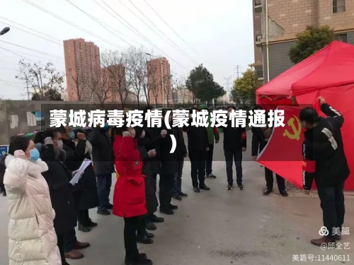 蒙城病毒疫情(蒙城疫情通报)-第2张图片
