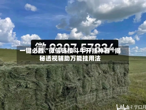 一键必胜“微信链接斗牛开挂神器	”揭秘透视辅助万能挂用法-第2张图片