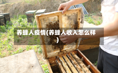 养蜂人疫情(养蜂人收入怎么样)-第1张图片