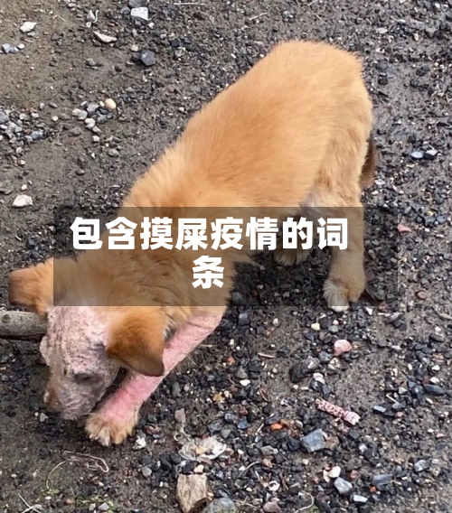 包含摸屎疫情的词条-第2张图片