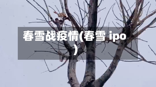 春雪战疫情(春雪 ipo)-第1张图片