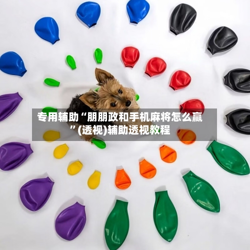 专用辅助“朋朋政和手机麻将怎么赢	”(透视)辅助透视教程-第1张图片