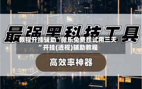 教程开挂辅助“微乐免费挂试用三天”开挂(透视)辅助教程-第2张图片