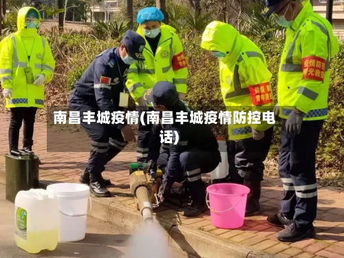 南昌丰城疫情(南昌丰城疫情防控电话)-第3张图片